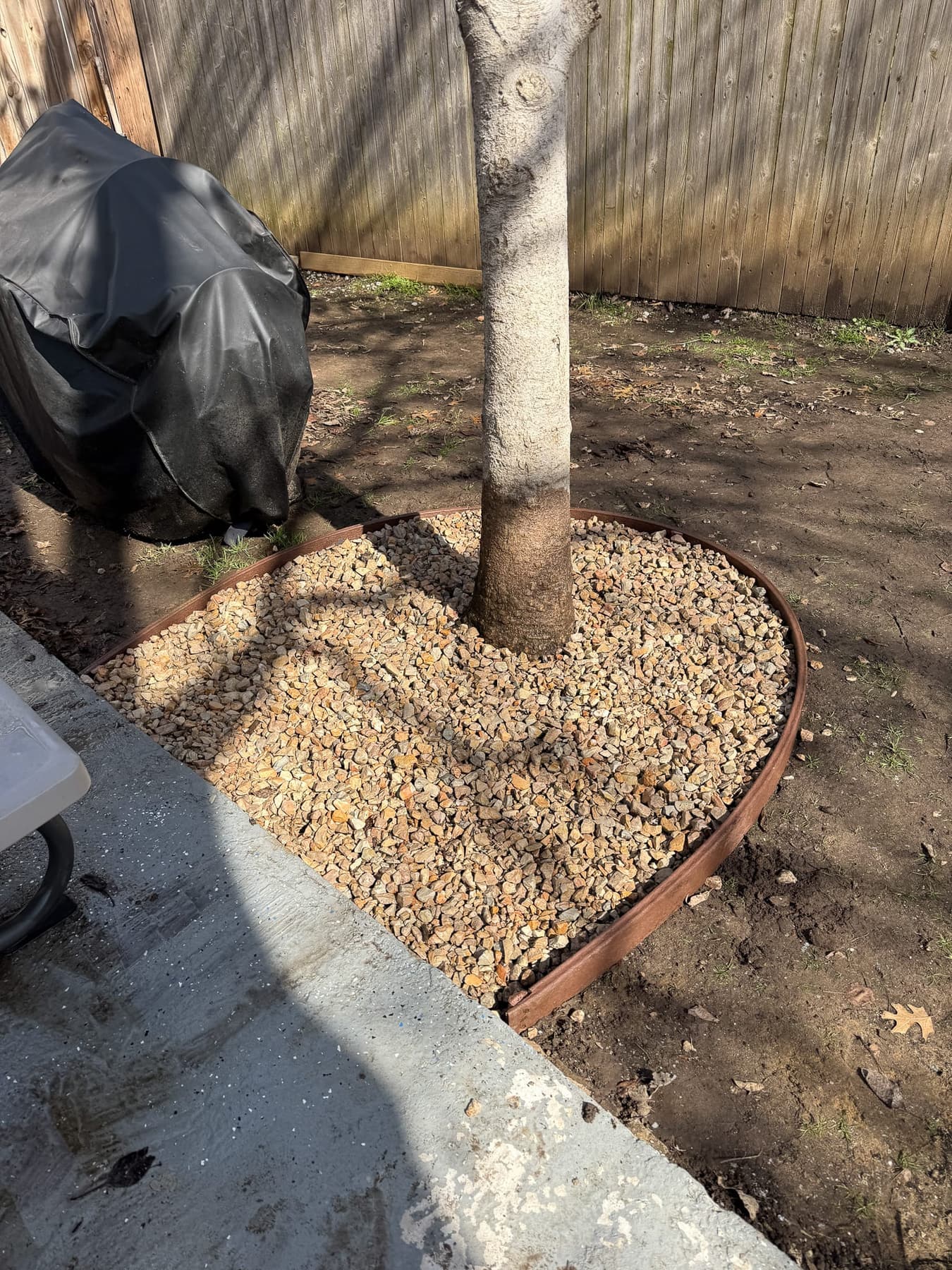 Tree base and landscape area being improved around a North Texas tree