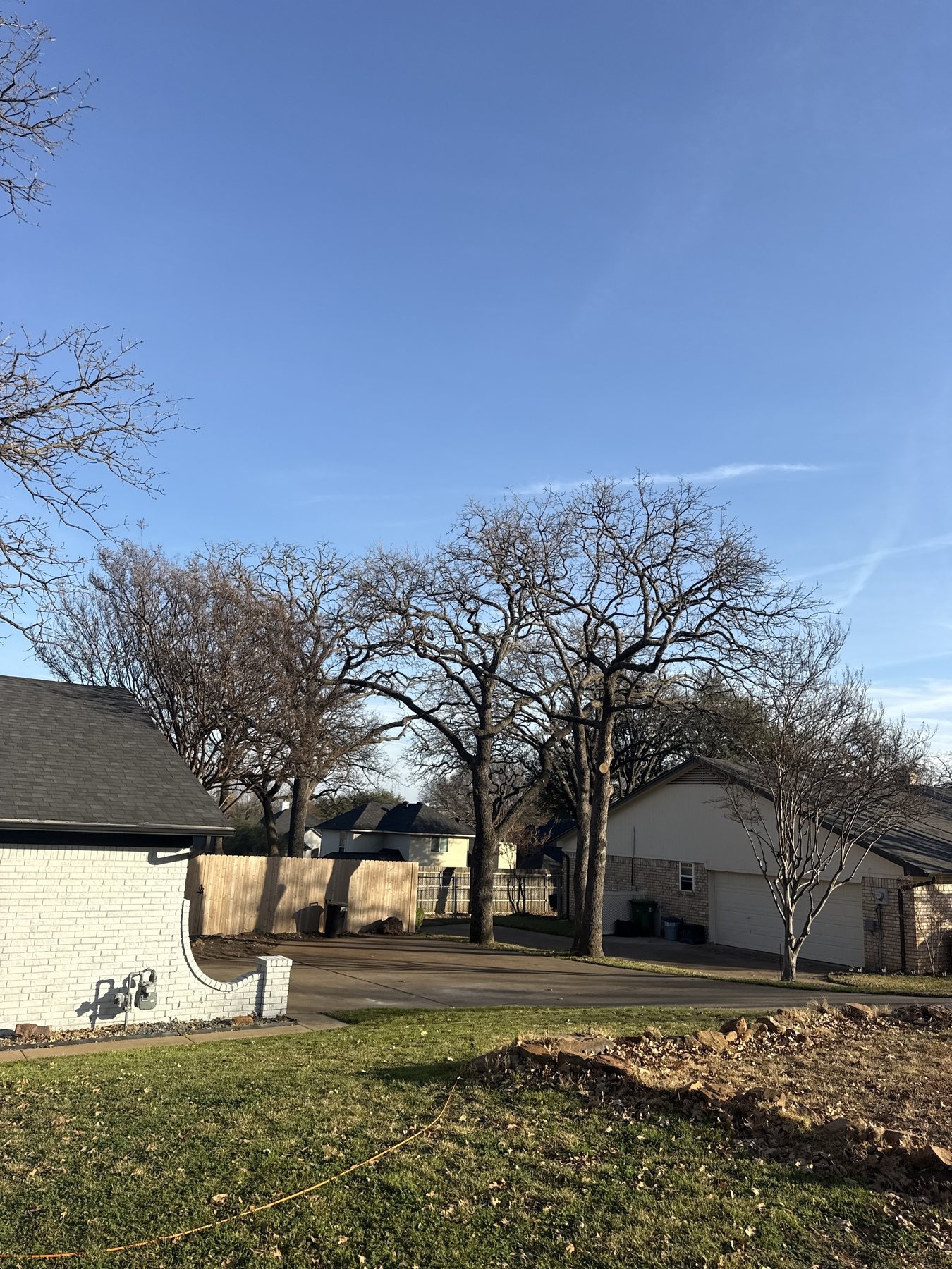 Large tree trimming job planned around a residential driveway