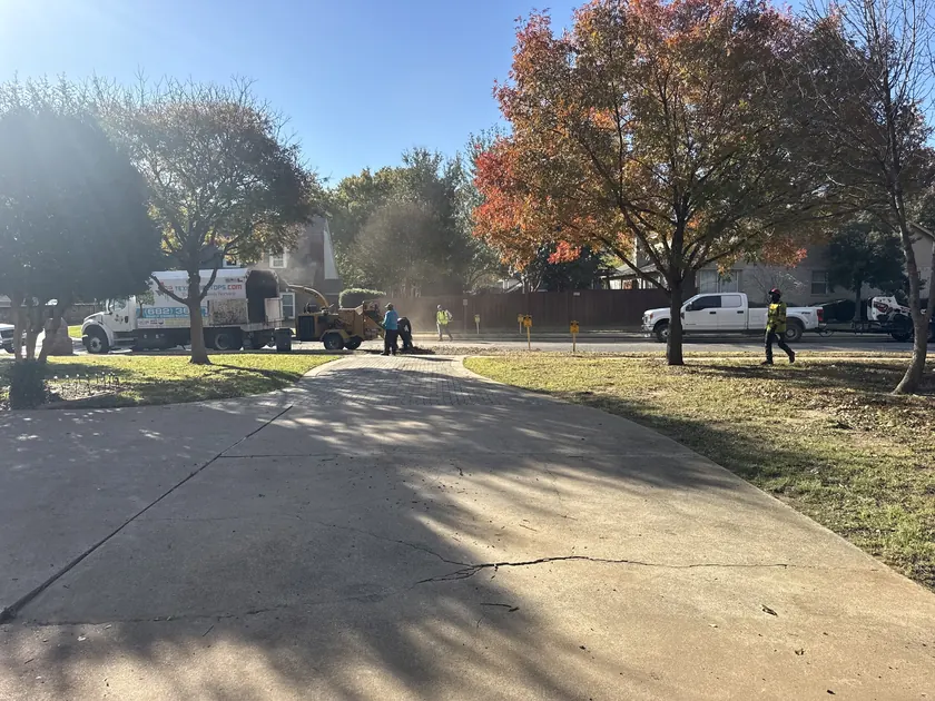 Clean Texas Tree Tops job site with company truck after tree work