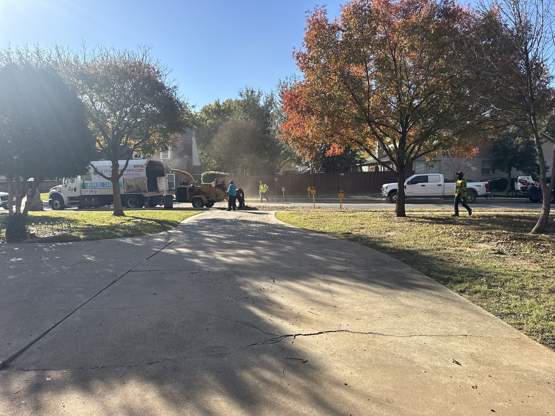 Clean Texas Tree Tops job site serving DFW tree service customers