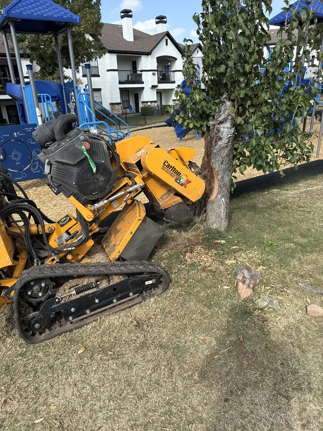 Commercial stump grinding at an apartment property