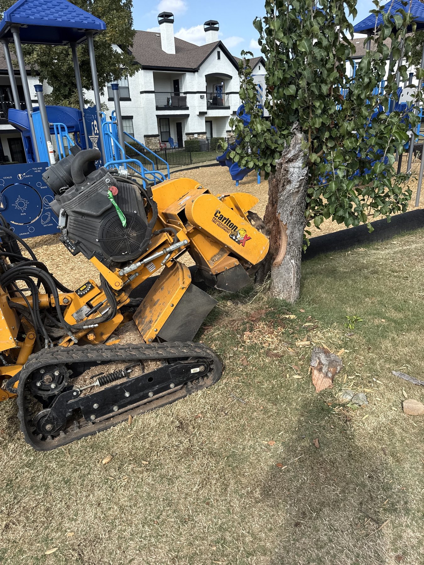 Commercial stump grinding at an apartment property