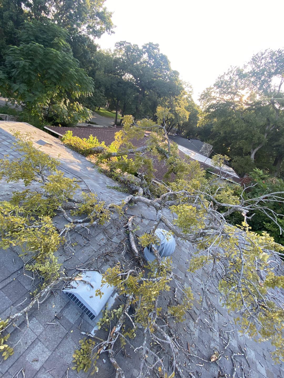 Tree limbs and debris after a North Texas storm