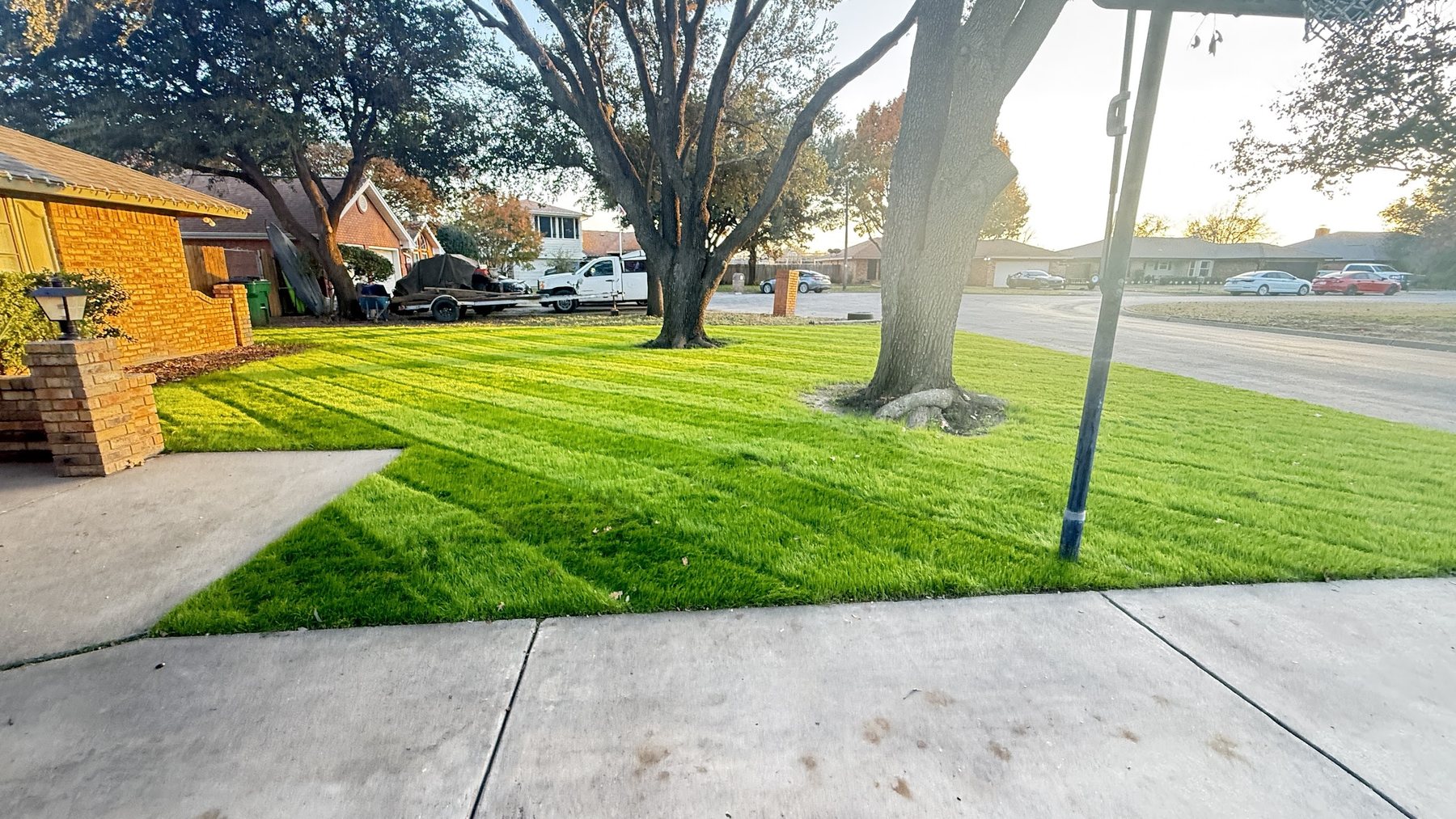 Clean lawn and tree area after property work