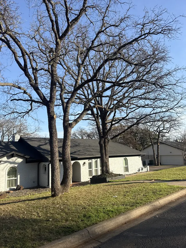 Large tree work completed in front of a North Texas home
