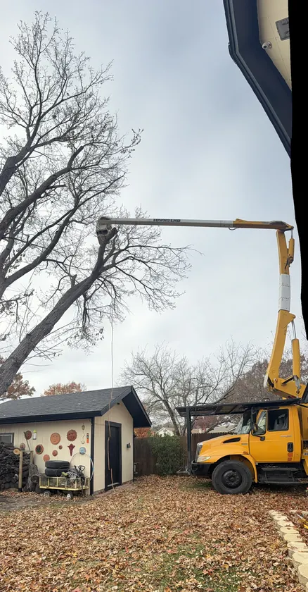 Tree limb removal work over a North Texas home