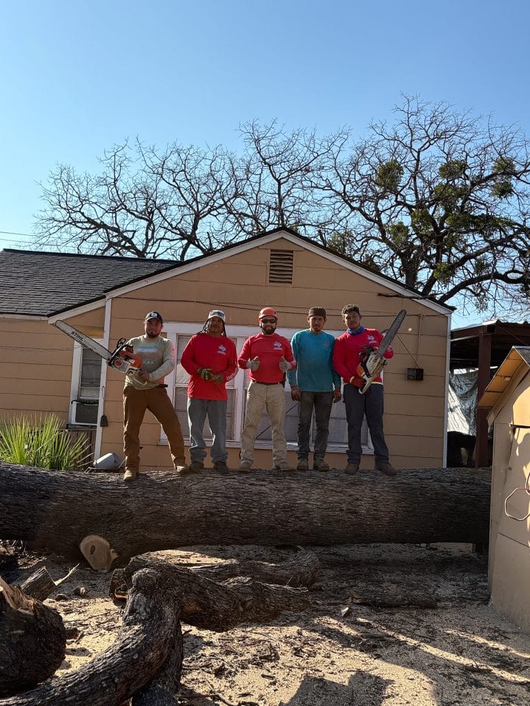 Texas Tree Tops team serving Keller tree service customers