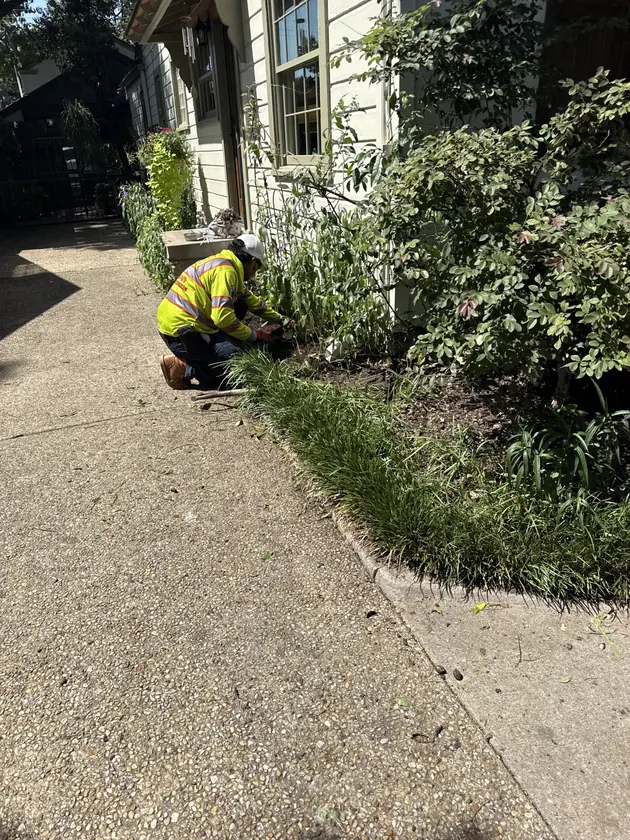 Texas Tree Tops reviewing plant and tree health near a residential walkway