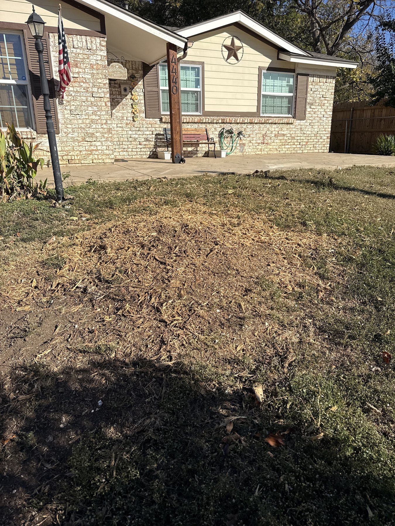 Yard after stump grinding work