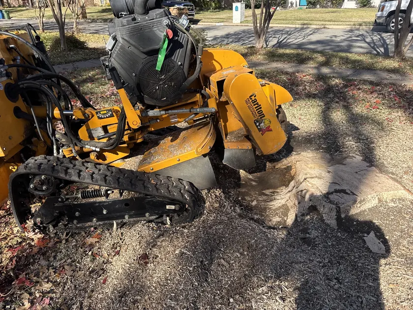 Texas Tree Tops stump grinder removing a stump