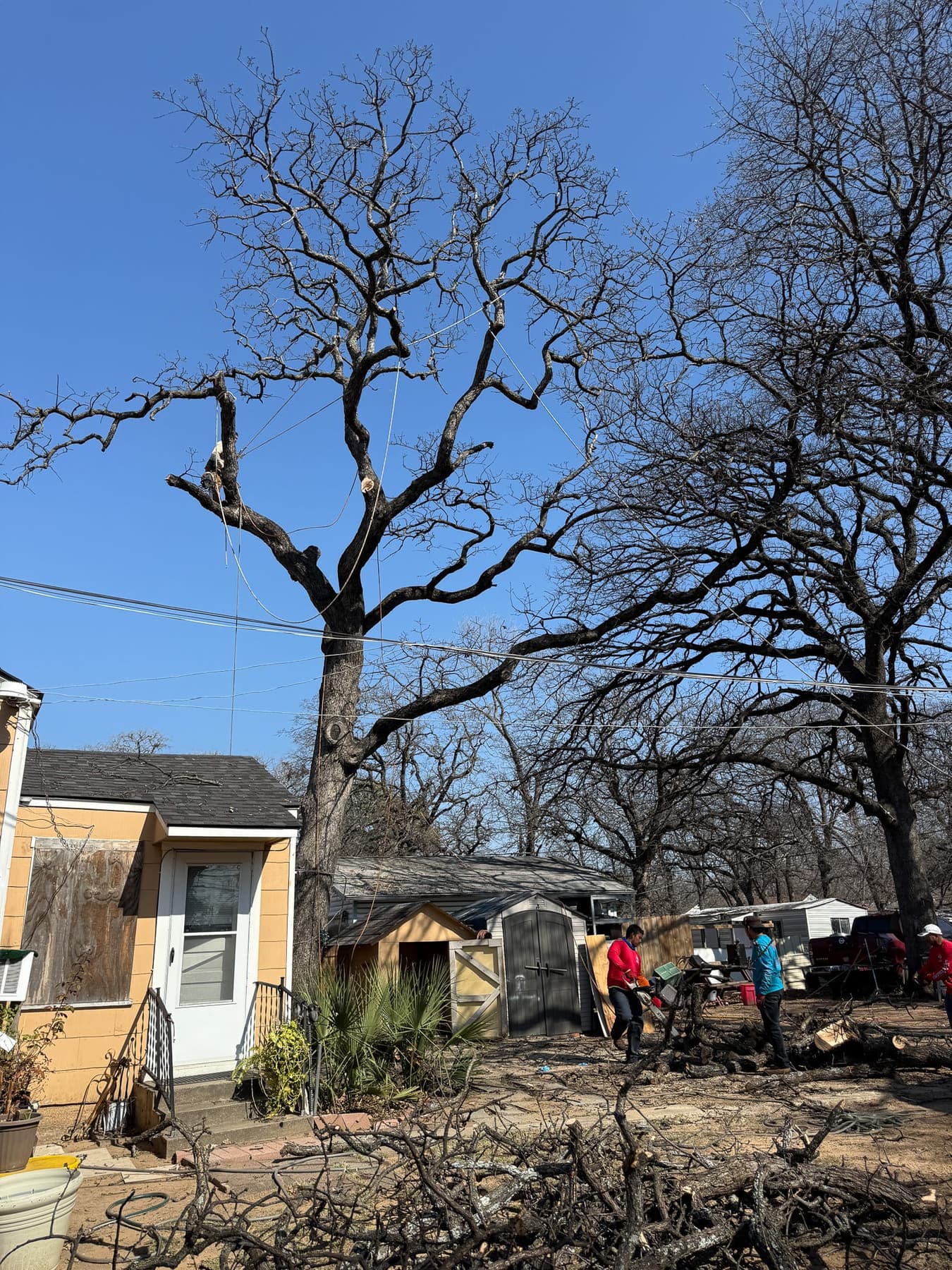 Tree and brush clearing work on a DFW property