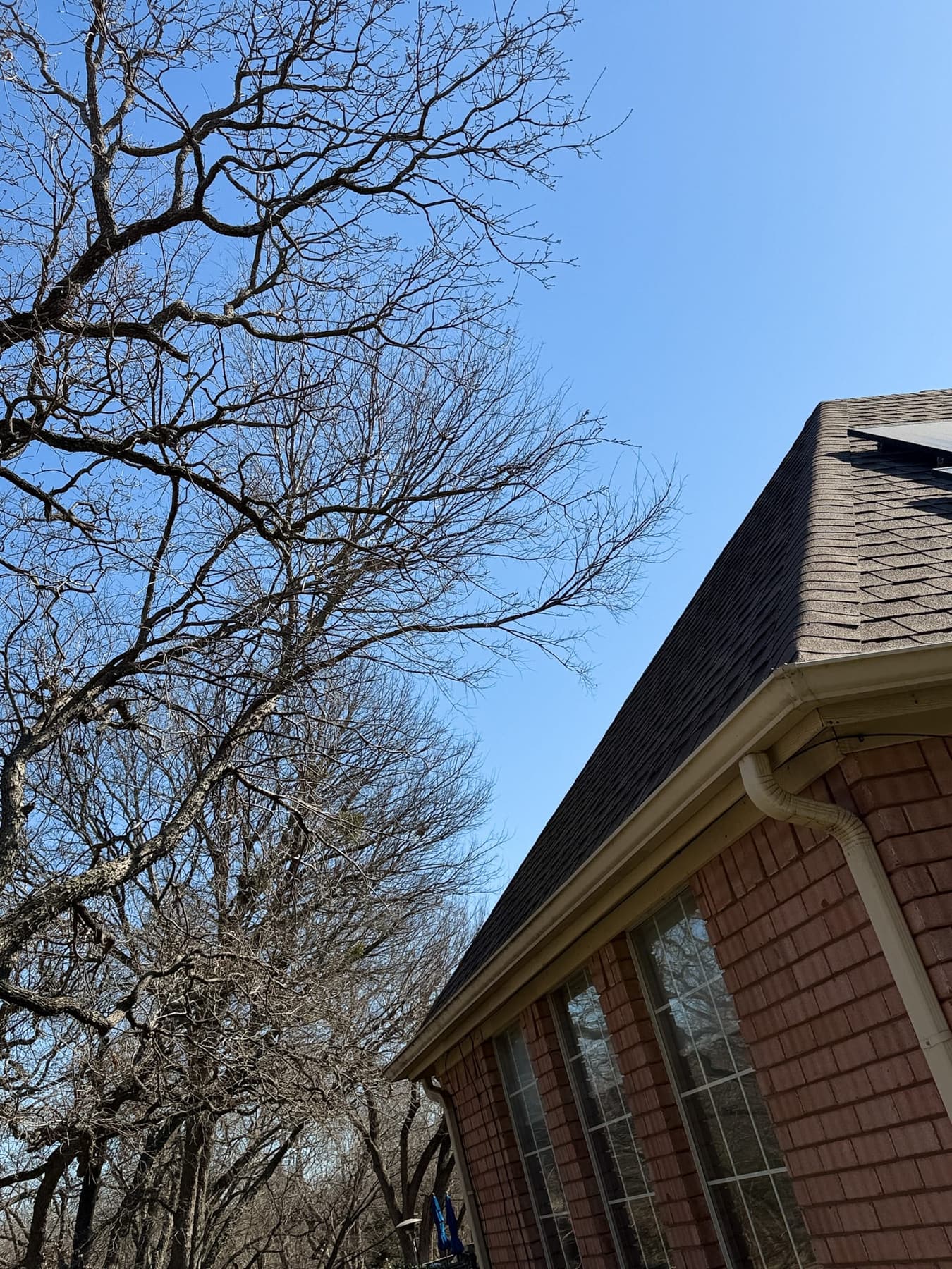 Tree service removal work by Texas Tree Tops