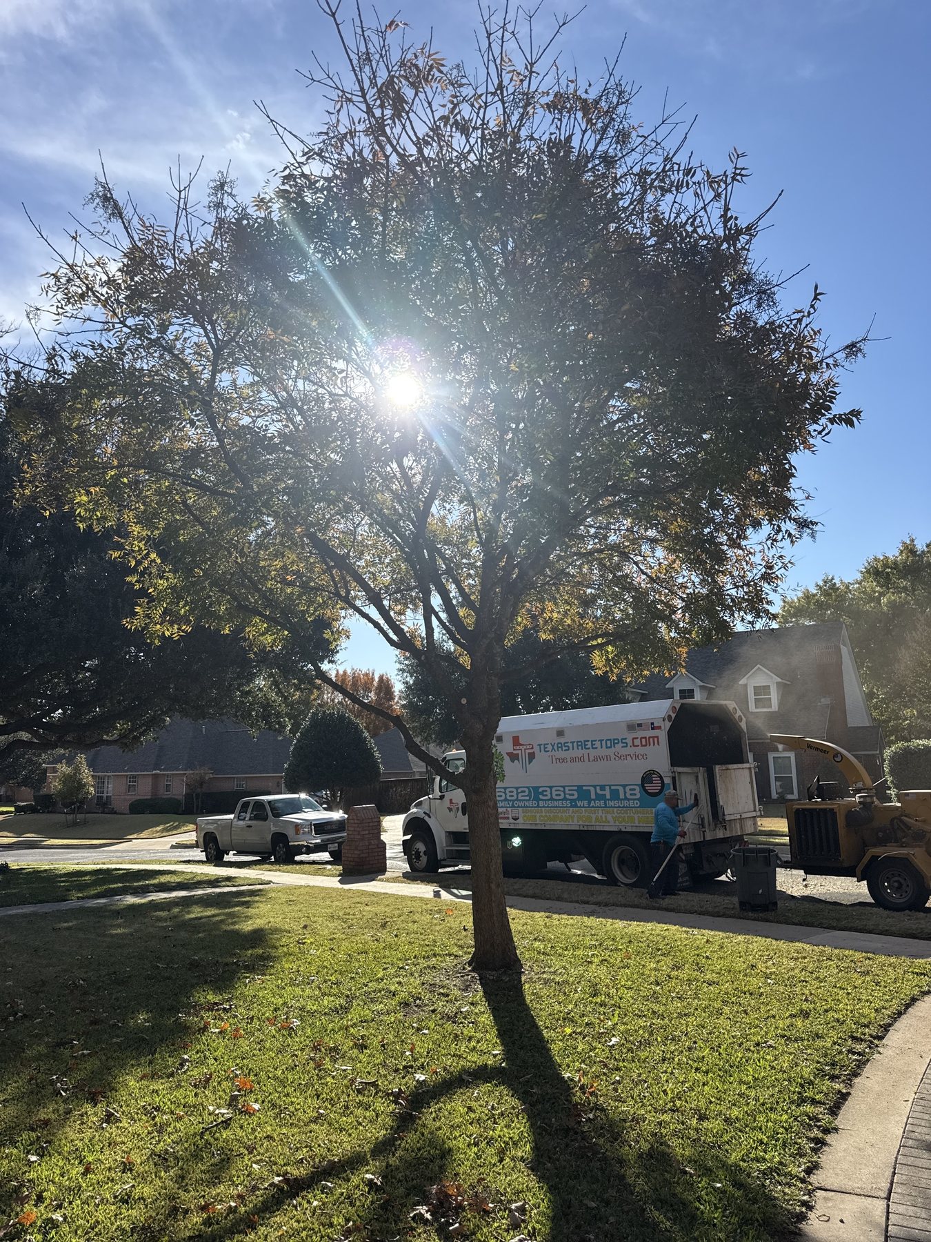 Trimmed tree with Texas Tree Tops company truck
