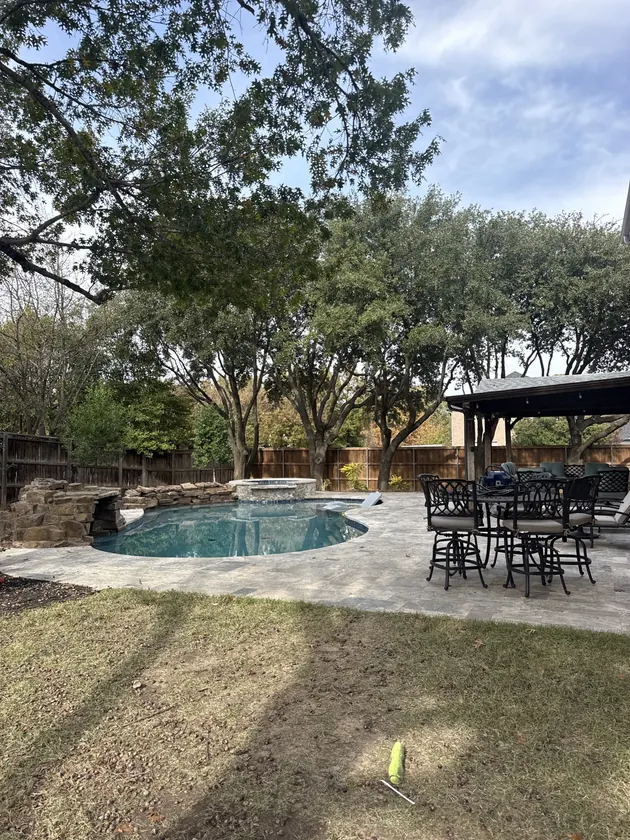 Tree trimming project beside a backyard pool